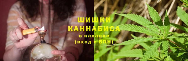 дживик Аркадак