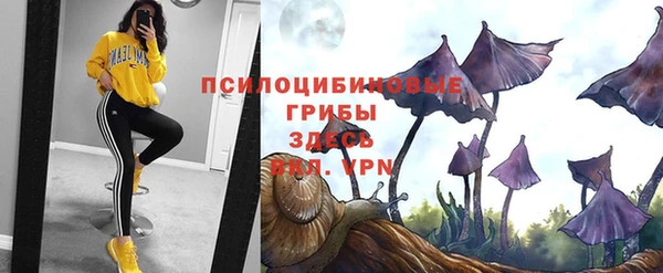 дживик Аркадак