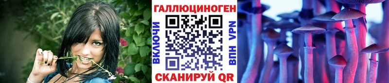Псилоцибиновые грибы Cubensis цены Петров Вал