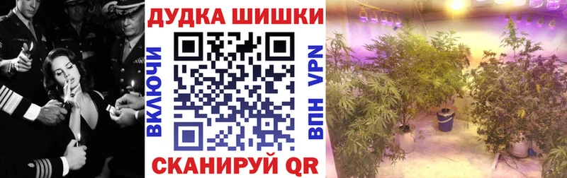 Конопля марихуана Петров Вал